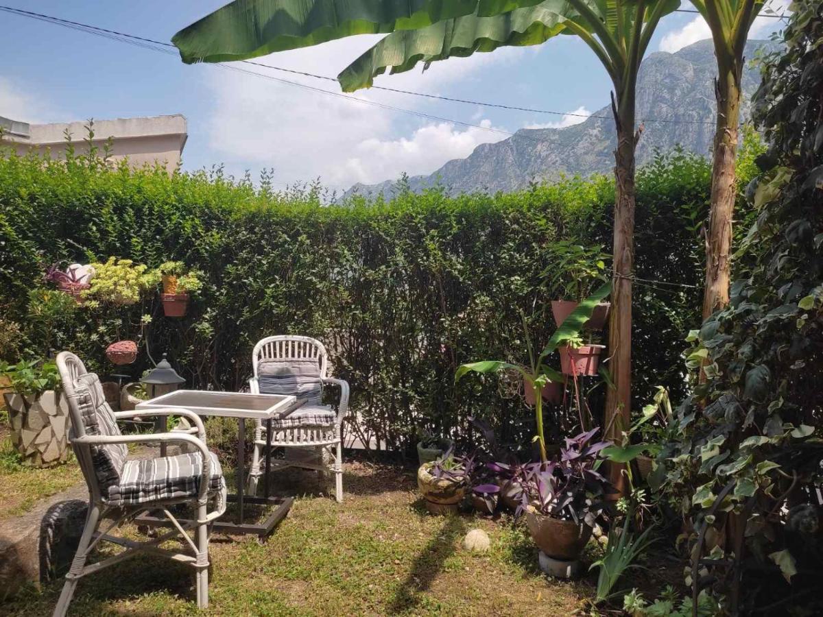Apartman Art Kotor Extérieur photo
